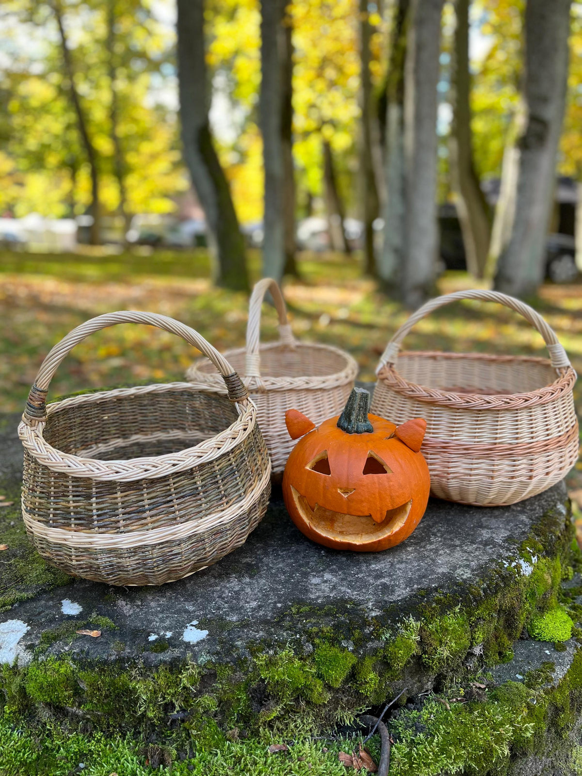NaturelyWoven Handmade Round Willow Foraging Basket with Handle