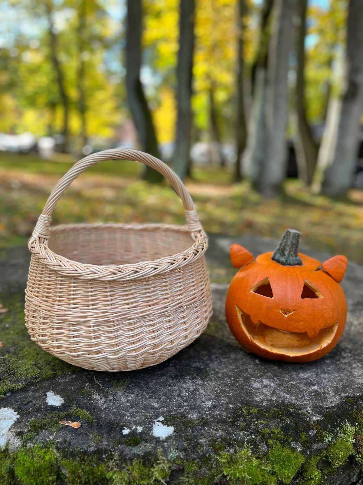 NaturelyWoven Handmade Round Willow Foraging Basket with Handle