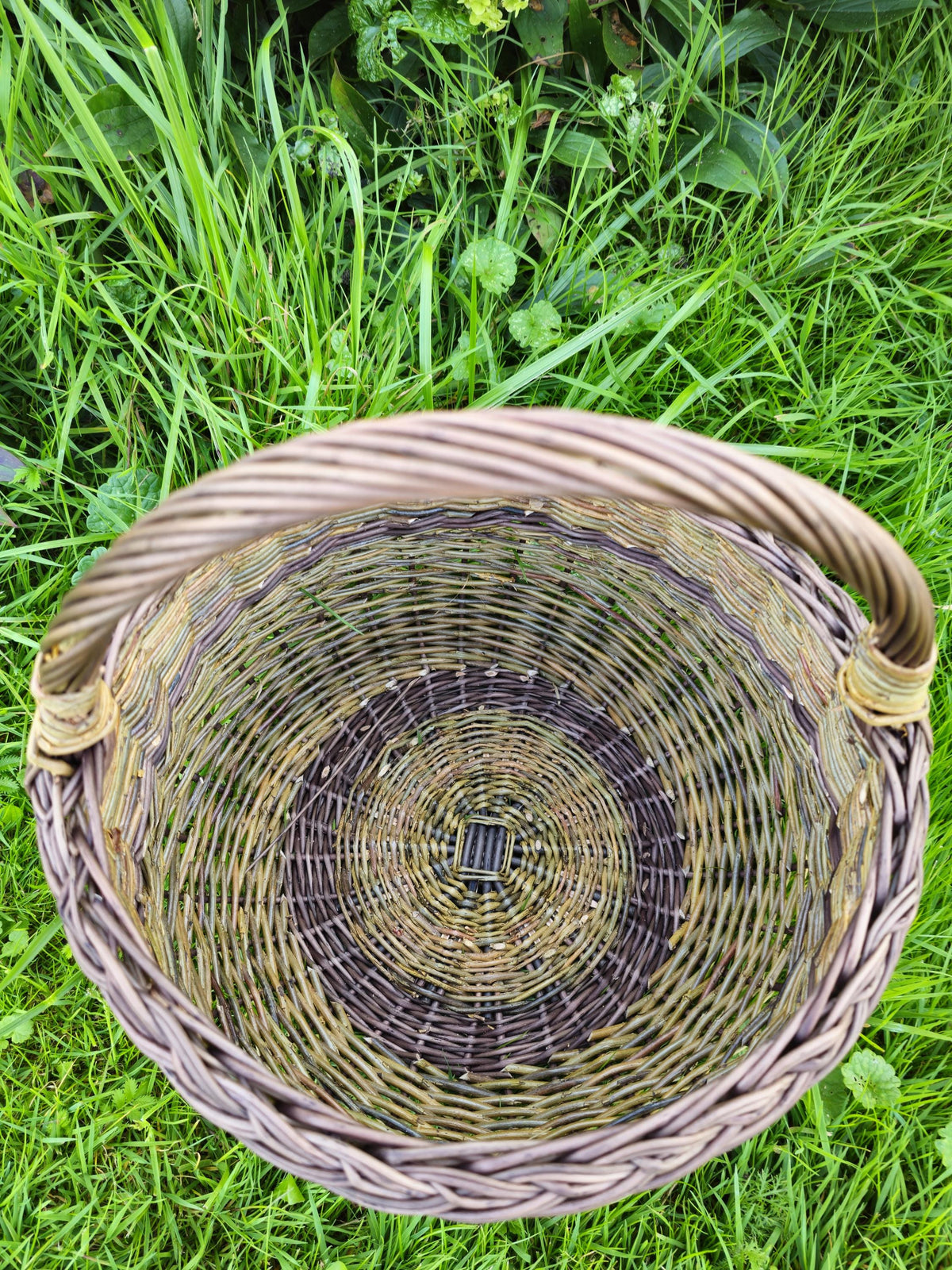 NaturelyWoven Handmade Round Willow Foraging Basket with Handle