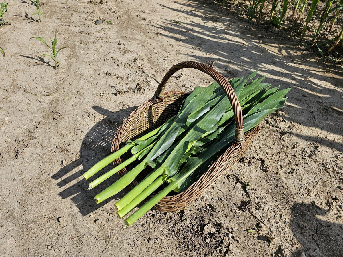 Large Unpeeled Willow Garden Trug Basket Rustic Handmade Wicker